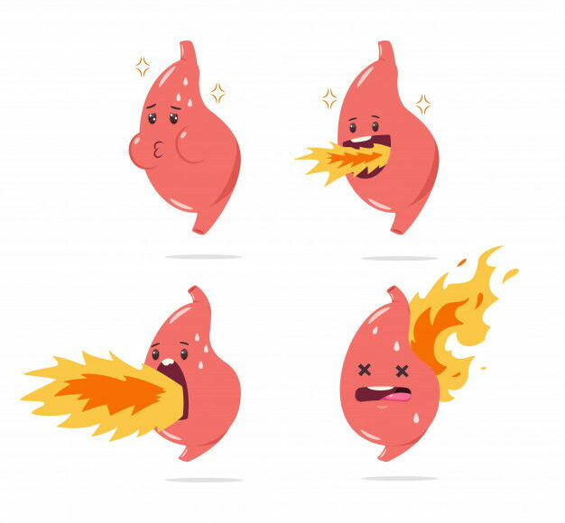 Are You Suffering From Insomnia? Need A Good Night Sleep? 1 Stomach Heartburn Vector Cartoon Character With Funny Internal Organ With Fire Illustration Set Isolated 97231 796