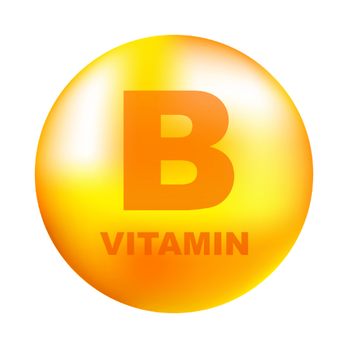 "Kodo millet biscuits – nutritious snack rich in B-complex vitamins for energy and overall wellness, tasty and wholesome for all ages