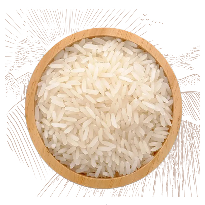 Salem Sanna Rice Exporte
