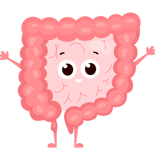 "Samba Wheat Millet Pasta – Supports Digestive Health Naturally"