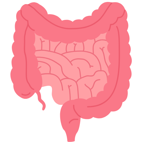 Pearl Millet Pasta – Consciously crafted, fiber-rich pasta made from pearl millet, supports digestion and promotes gut health.”