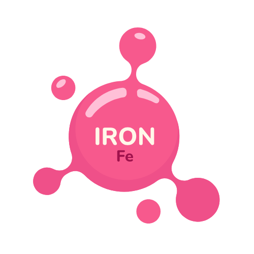 “Little Millet Pasta – Consciously crafted, nutritious pasta made from little millet, high in iron to support healthy blood and energy levels.”