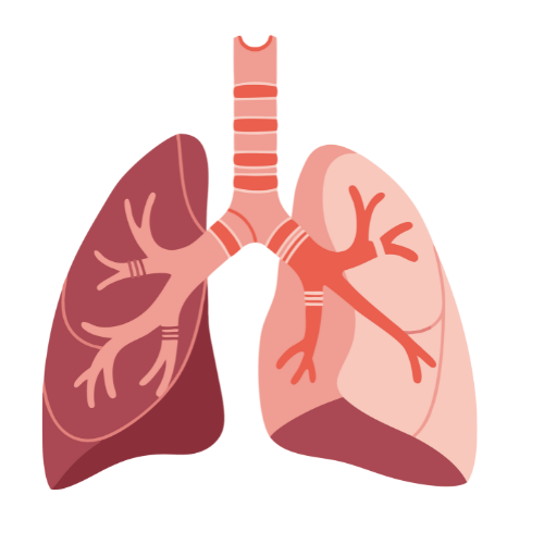 “Little Millet Pasta – Consciously crafted, nutritious pasta made from little millet, low glycemic for steady blood sugar and sustained energy.”