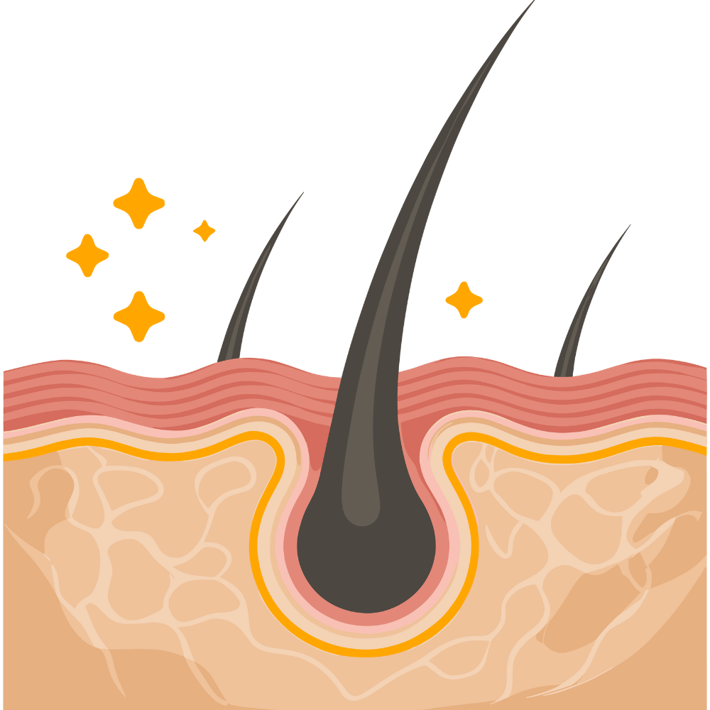 Strengthens roots and reduces hair fall.