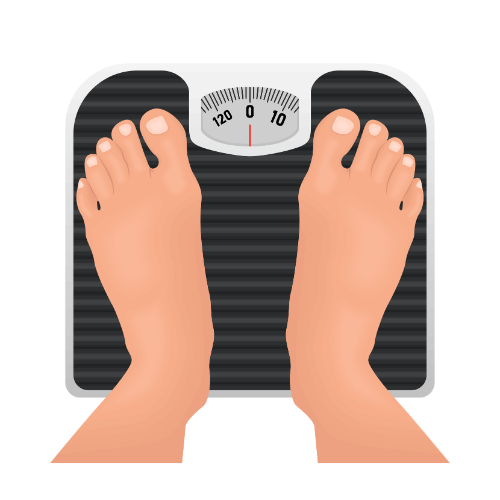 “Moringa Millet Pasta – Consciously crafted, nutritious pasta made from moringa millet, low in calories and ideal for weight management.”