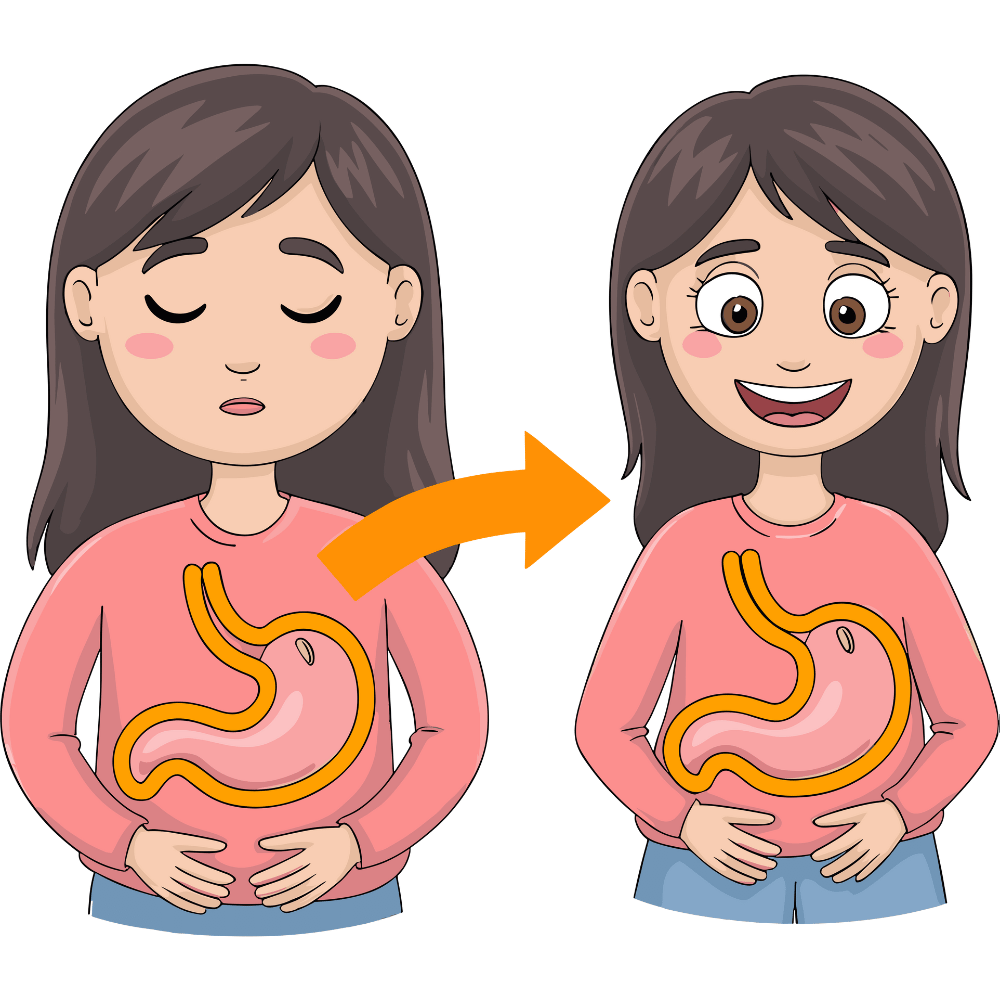 Channa Dal or Kadalai Paruppu aids digestive health with high dietary fiber, promoting smooth digestion and gut wellness – shop premium Channa Dal online at standardstore.in