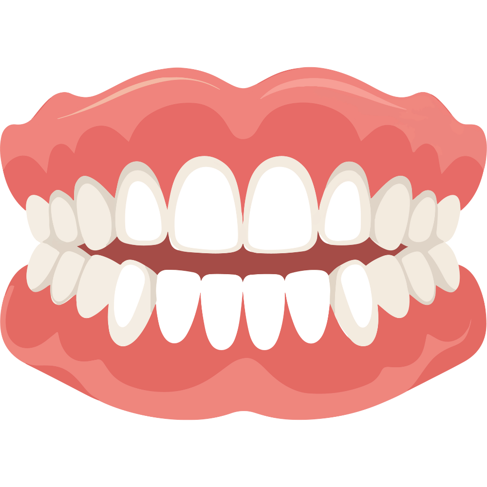 Channa Dal or Kadalai Paruppu supports strong teeth and oral health with essential minerals – buy high-quality Channa Dal online at standardstore.in