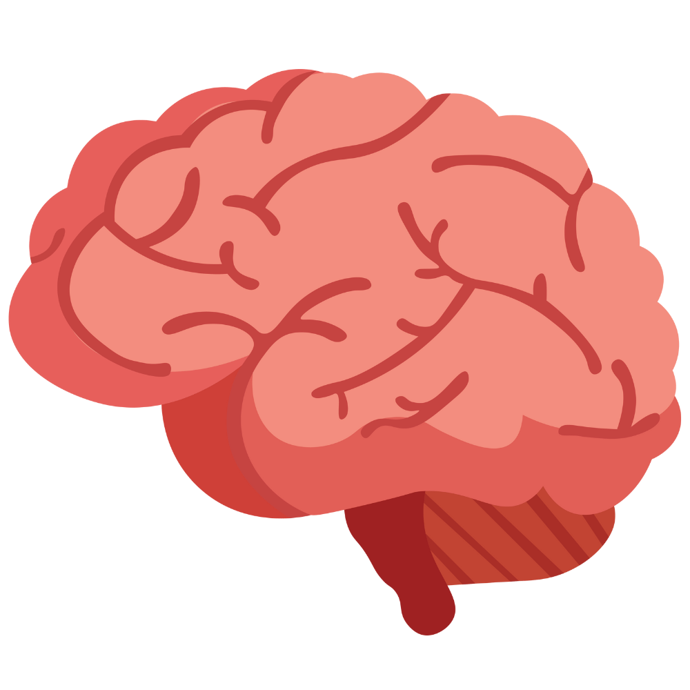 Foxtail millet chikki pieces — a brain-boosting snack rich in iron and essential amino acids that enhance focus and memory.