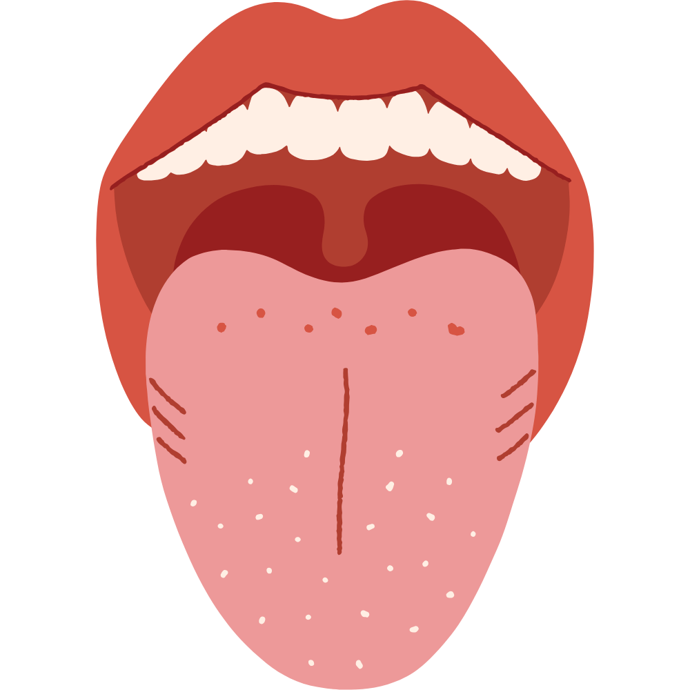 Homewood Cardamom Tea – aromatic tea blend that helps maintain oral pH balance and supports oral health