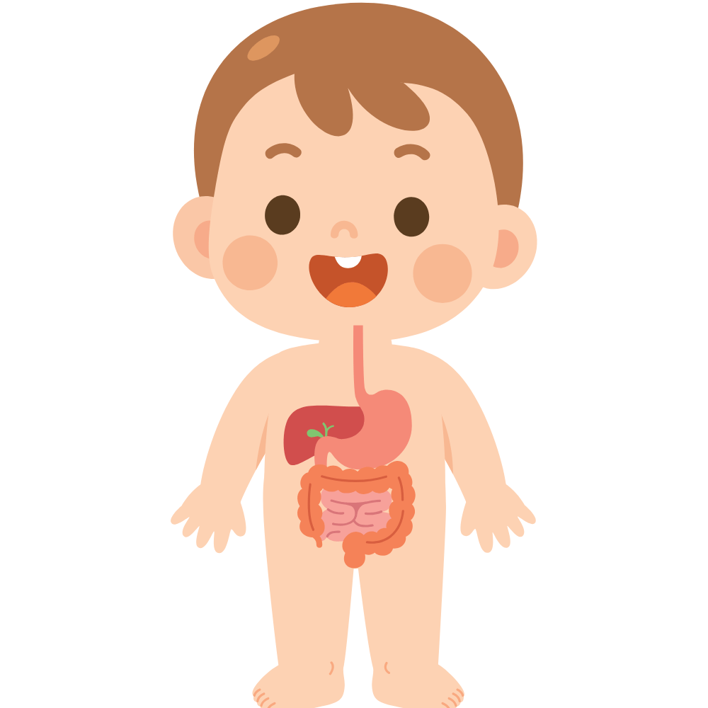 Moong Dal or Pasi Paruppu supports natural detoxification, cleansing the body and promoting overall health – shop premium quality Moong Dal online at standardstore.in