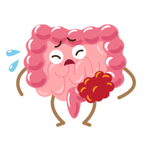 "Pearl millet biscuits – antioxidant-rich baby food that supports digestion and may reduce risk of colon cancer"