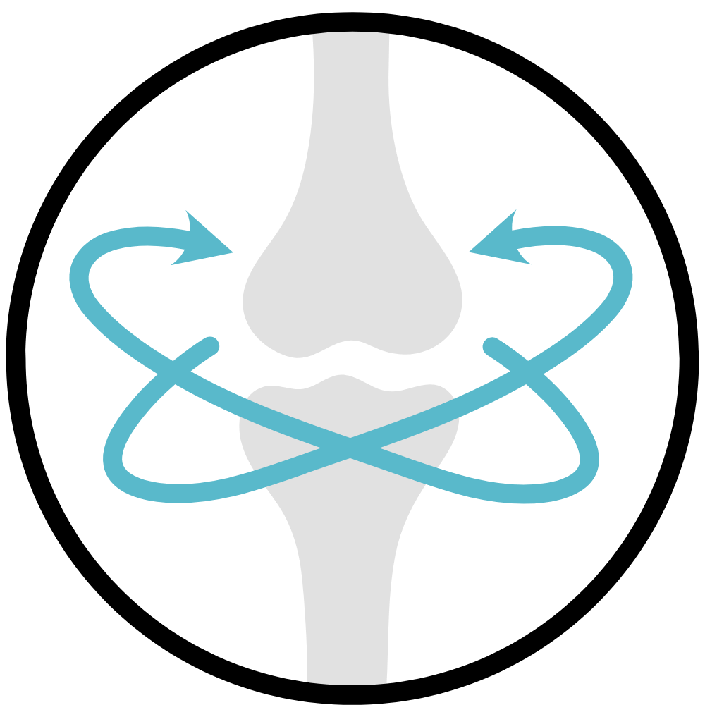 Urad Dal helps build strong muscles and supports body strength – buy high-protein Urad Dal online at standardstore.in