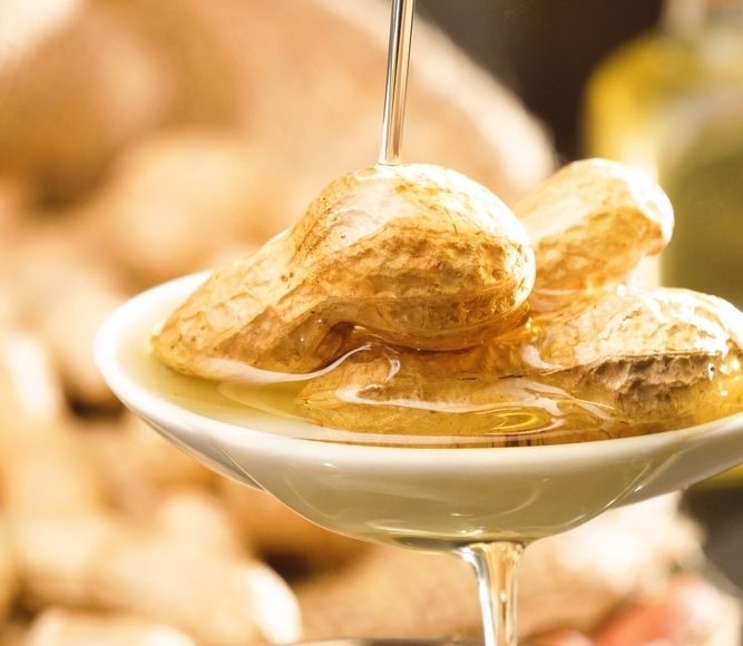 Cold Pressed Oil In Kurnool