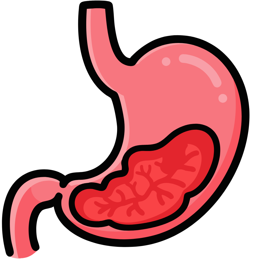 “Natural foods and ingredients that help digestion and improve gut health”