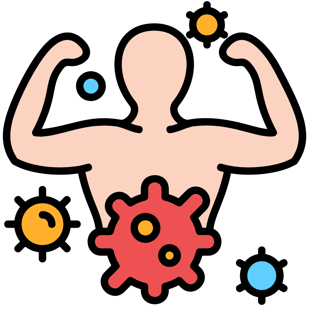 “Natural foods and ingredients that provide immune support”