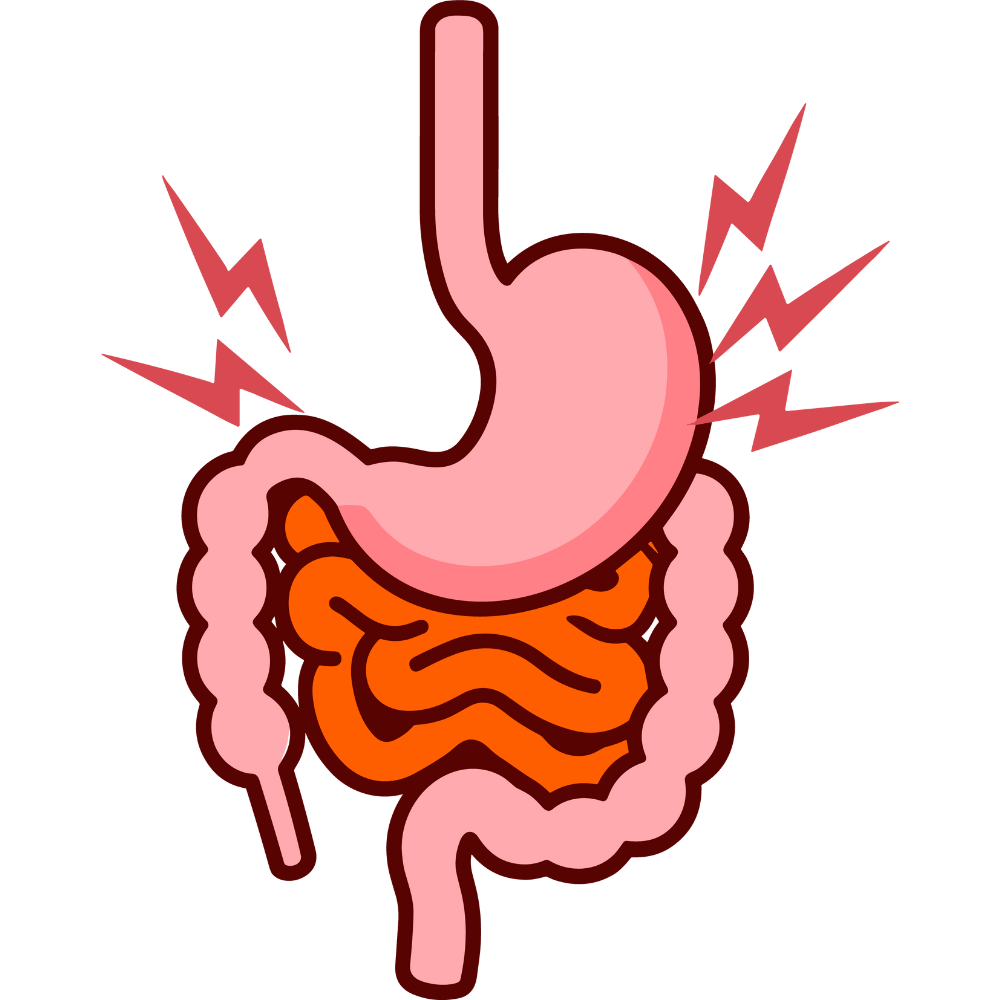 Ragi has fiber and natural compounds that can support gut health and digestion.