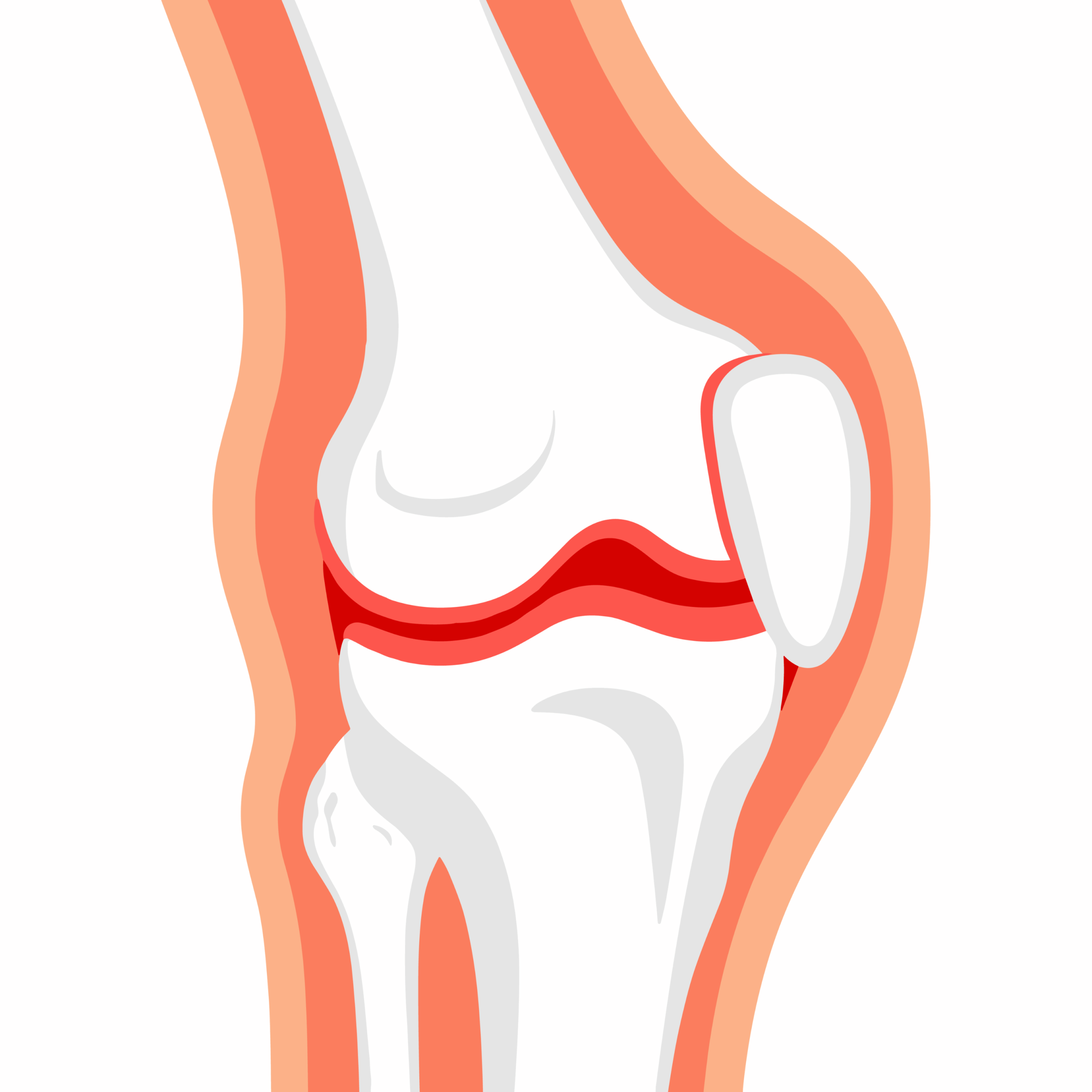 Natural product that supports joint health, flexibility, and overall mobility