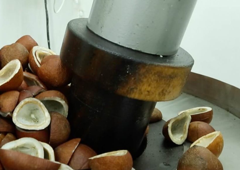 Cold Pressed Oil In Coimbatore