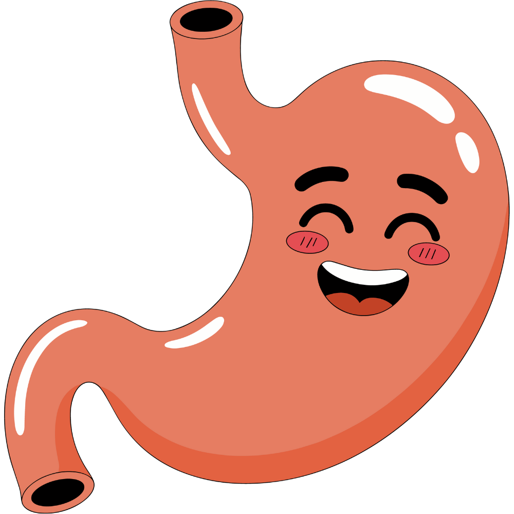 “Natural foods and ingredients that act as a digestive aid”