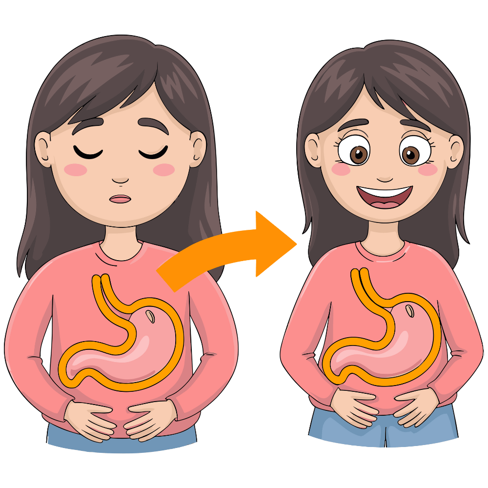 Natural ingredients that promote a healthy gut and smooth digestion" "Herbal blend supporting gut balance and digestive wellness"