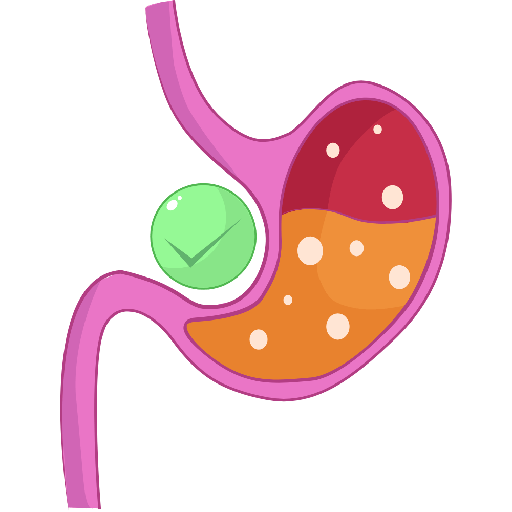 "Natural ingredients that improve digestive health and gut function"