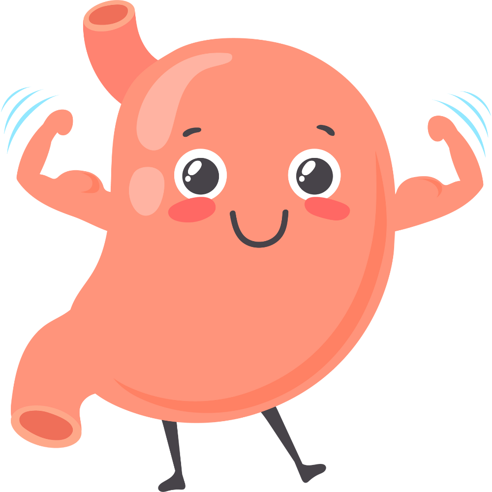 “Natural foods and ingredients that improve digestion and gut health”