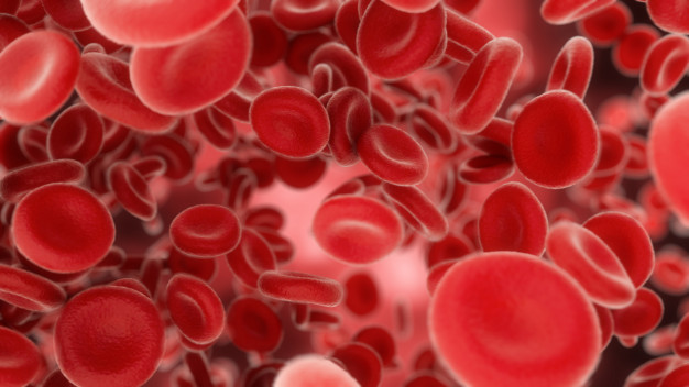 Blood-Cells