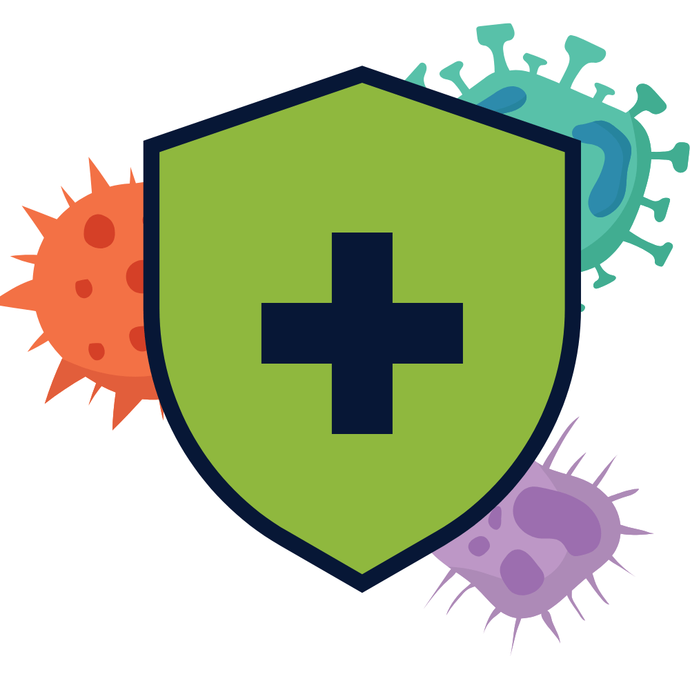 "Natural herbs and spices with strong anti-inflammatory properties" "Foods that reduce inflammation and promote overall wellness"