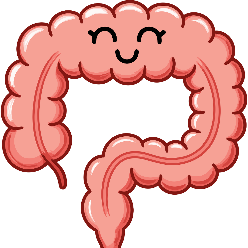 "Natural foods and herbs that calm the gut and support digestion"