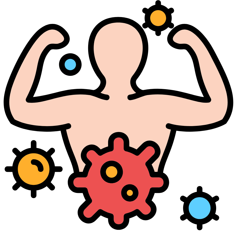 JJaggery balls – natural sweet that helps relieve cold and cough while supporting respiratory health