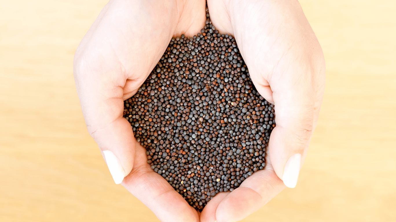 Mustard Oil Is A Versatile Oil Used For Cooking, Skincare, And Hair Care. It Enhances Flavor In Indian Dishes, Boosts Heart Health, Improves Circulation, And Is Also Used For Body Massage To Relieve Pain And Nourish The Skin.