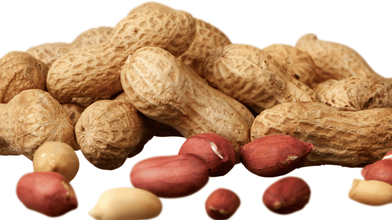 Cold-Pressed Groundnut Oil Is A Pure, Natural Oil Extracted From High-Quality Peanuts Without Using Heat Or Chemicals. Rich In Heart-Healthy Unsaturated Fats, Vitamin E, And Antioxidants, It Supports Cholesterol Control, Boosts Energy, And Enhances Skin Health. With Its Mild Nutty Flavor And High Smoke Point, It’s Ideal For Indian Cooking, Deep Frying, And Daily Wellness.