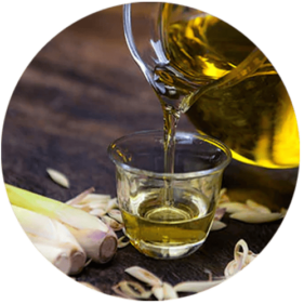 Buy Essentials Oils 100% Natural and Pure Online Store to Buy the Best Essentials Oils