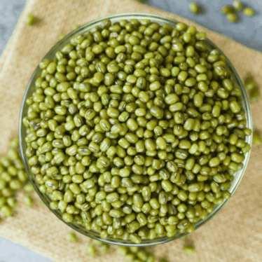 Fresh unpolished green gram mung bean rich in protein and fiber