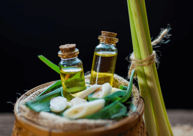 वतीचहा तेल बाटलीत – Lemongrass Essential Oil