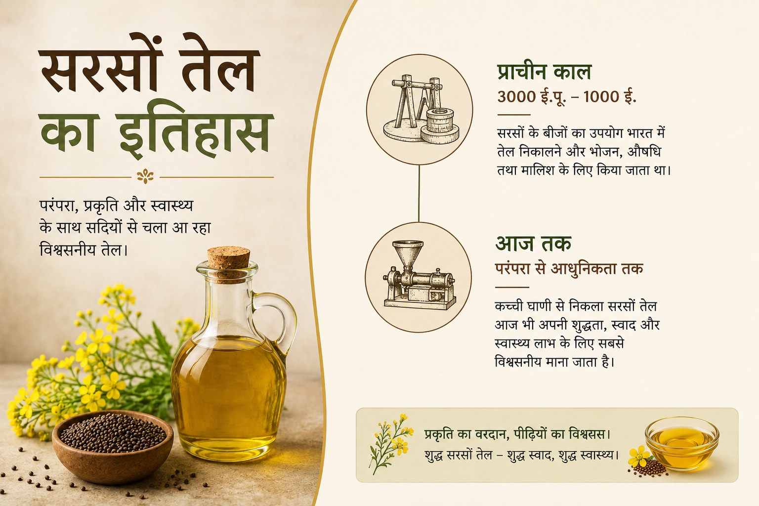 सरसों तेल के इतिहास पर दो-भाग वाला हिंदी इन्फोग्राफिक, जिसमें पारंपरिक घानी, सरसों के बीज और तेल से लेकर आधुनिक समय तक इसके सफर को दर्शाया गया है।