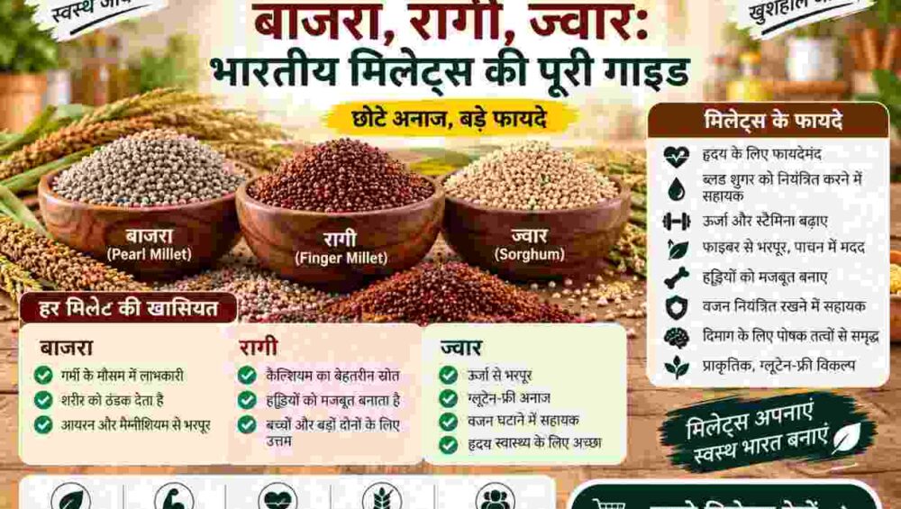 बाजरा, रागी, ज्वार: भारतीय मिलेट्स की पूरी गाइड 6 बाजरा, रागी और ज्वार के फायदे और उपयोग पर भारतीय मिलेट्स की पूरी गाइड